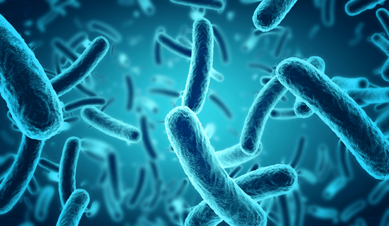 Microbiological inactivation